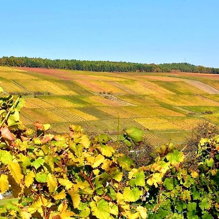 Ferienwohnungen Etzl Bad Mergentheim Dış mekan fotoğraf